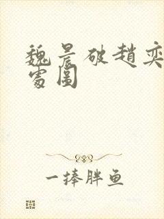 魏晨破赵奕欢的处图