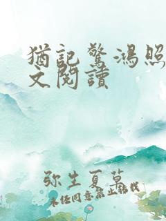 犹记惊鸿照影全文阅读