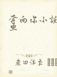 奔向你小说甜醋鱼