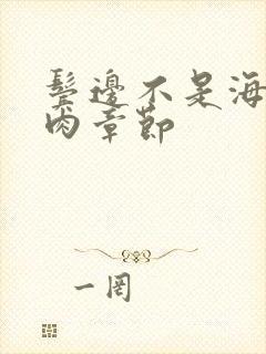 鬓边不是海棠红肉章节