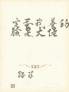 完蛋我养的小白脸是大佬