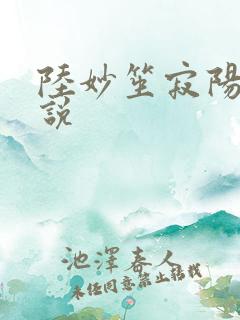 陆妙笙寂阳朔小说