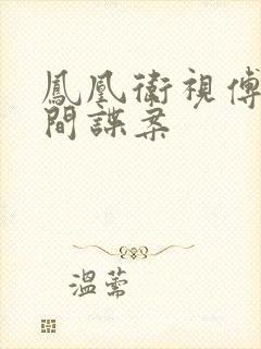 凤凰卫视傅晓田间谍案