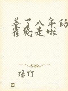 养了八年的金丝雀飞走啦