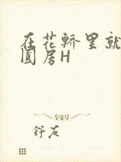 在花轿里就开始圆房H