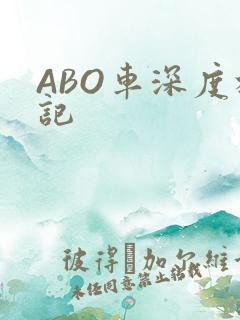 ABO车深度标记