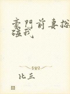 豪门前妻总裁别碰我