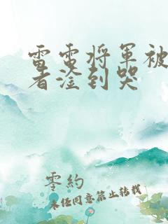 雷电将军被旅行者淦到哭