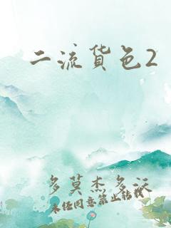 二流货色2