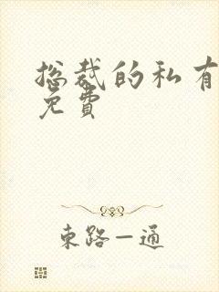 总裁的私有宝贝免费