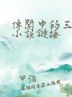 传闻中的三公主小说链接