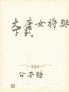 大唐女将樊梨花下载