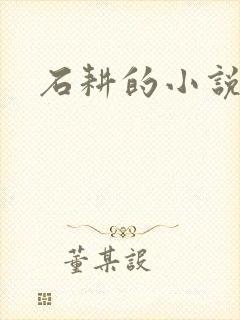 石耕的小说