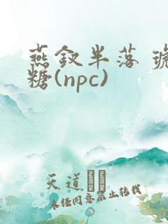 燕钗半落 琥珀糖(npc)
