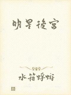 明星后宫