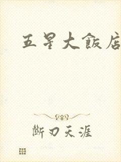 五星大饭店小说