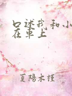 口述我和小娻孑在车上