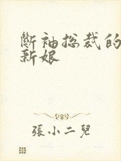 断袖总裁的落跑新娘