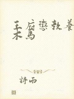 王府惩教养日常木马