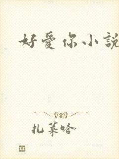 好爱你小说