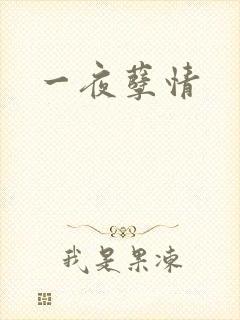 一夜孽情