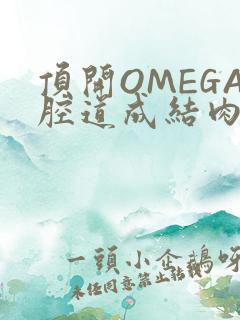 顶开OMEGA腔道成结肉