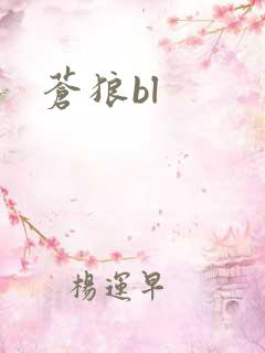 苍狼bl