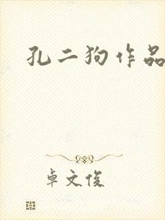 孔二狗作品