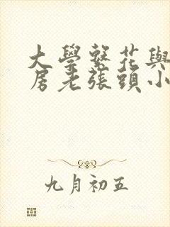 大学系花与锅炉房老张头小说