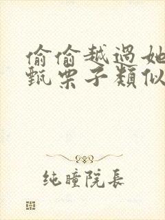 偷偷越过她by甄栗子类似小说