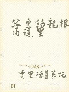 父皇的龙根在我甬道里