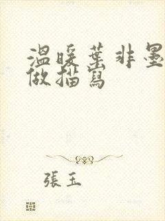 温暖叶非墨车内做描写