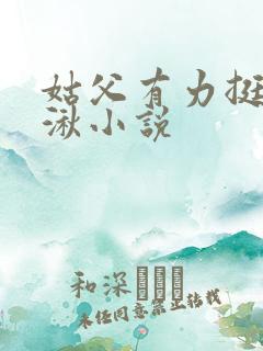 姑父有力挺送徐湫小说