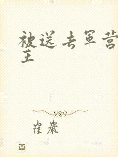 被送去军营的公主