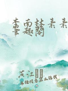 李南林素素小说笔趣阁