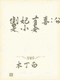 侧妃有喜:公主是小妾