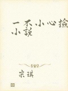一不小心捡到爱小说