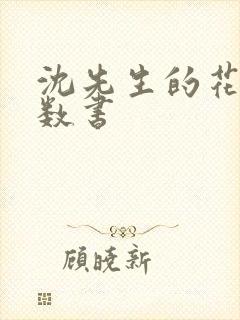 沈先生的花式调数书