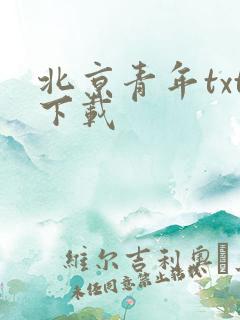 北京青年txt下载