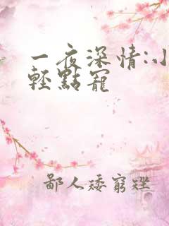 一夜深情:小叔轻点宠