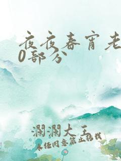 夜夜春宵老扒40部分