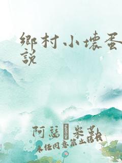 乡村小坏蛋 小说