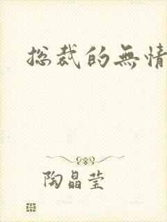 总裁的无情游戏