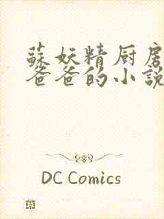 苏妖精厨房爹爹爸爸的小说