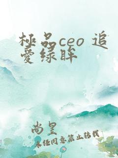 极品ceo 追爱绿眸