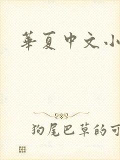 华夏中文小说网