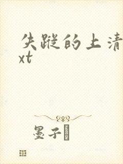 失踪的上清寺txt