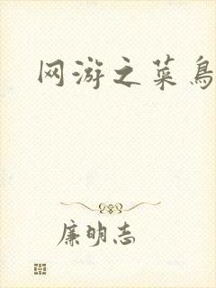 网游之菜鸟高手