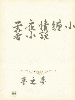 子夜情缠小说原著小说