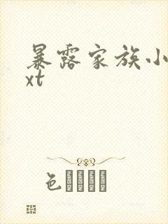 暴露家族小说txt